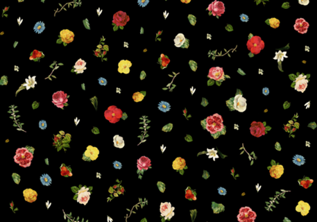 Mão Floral