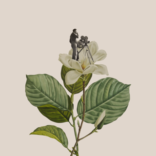 Botanical vintage cameraman
