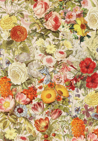 Botanical print