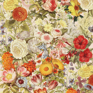 Botanical print