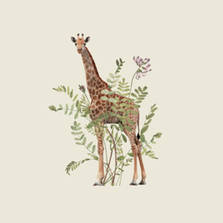 Floral Giraffe