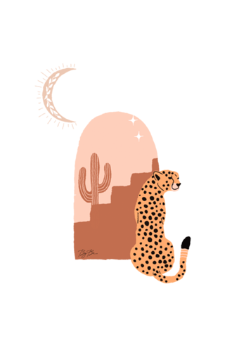 Onça Boho V2