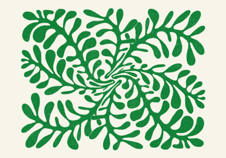 Verde Orgânico Matisseano #4