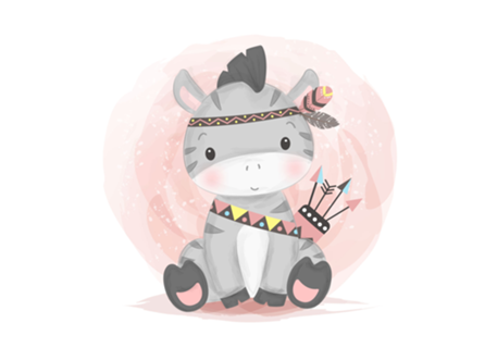 Zebra Índia