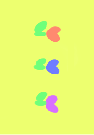 Flores simples