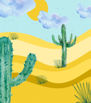 Cactus