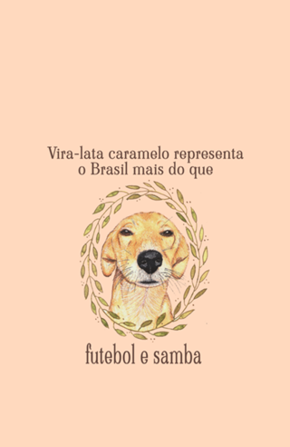 Vira-lata Caramelo