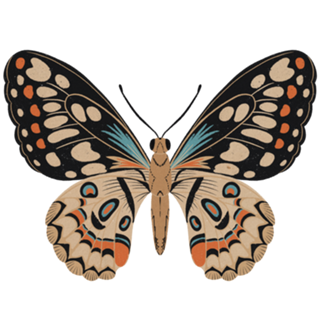 Borboleta demons