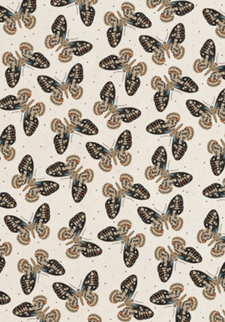 Borboleta demons