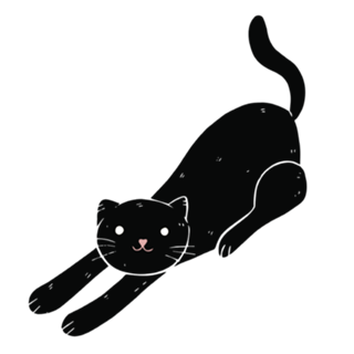 Gato preto e rosa