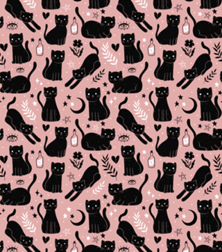Gato preto e rosa