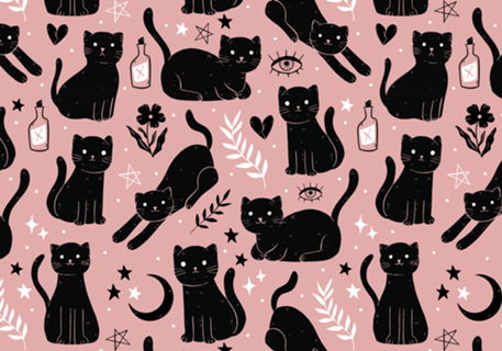 Gato preto e rosa