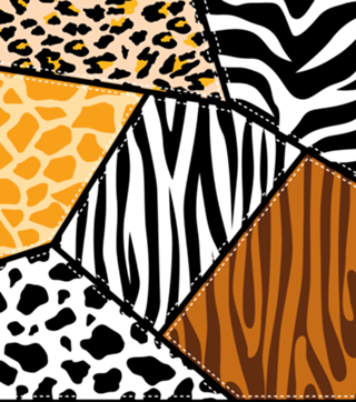 Shoes Your Animal