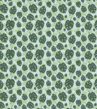 Monstera Dreams