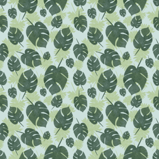 Monstera Dreams