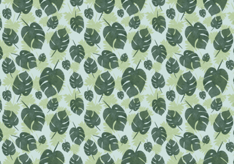 Monstera Dreams