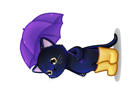 Gato