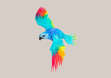 Arara