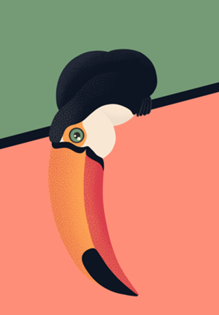 Tucano 2