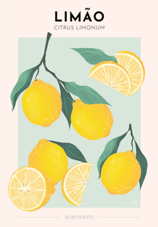 Hortifruti | Limão