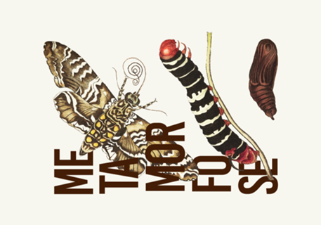 Metamorfose