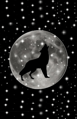 Lobo ao luar
