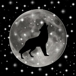 Lobo ao luar