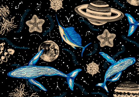 Whale Constellation