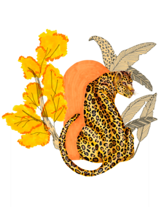 Juma Jungle