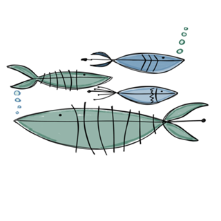 Fishs