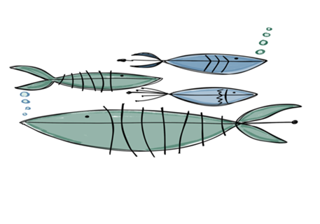 Fishs