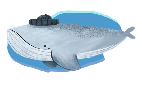 The whale