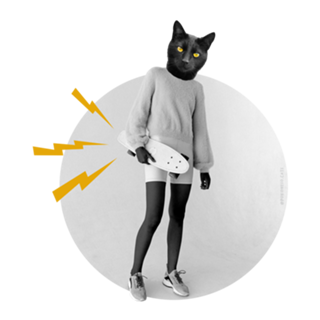 Black cat
