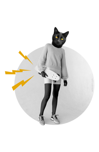 Black cat