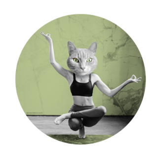 Yoga Cat