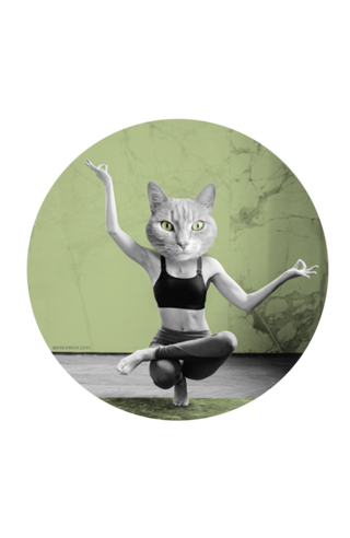 Yoga Cat