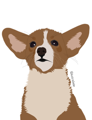 Doguinho