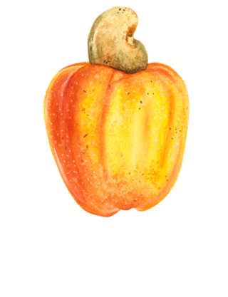 Caju