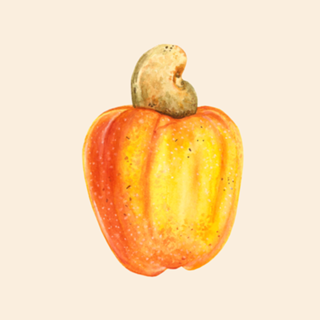 Caju