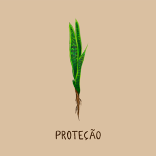 Proteção - Espada de São Jorge