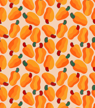 Arte,caju,ilustração,frutas,verão
