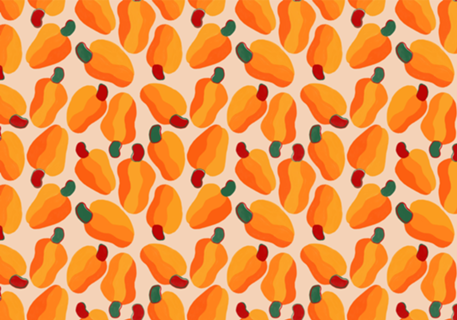 Arte,caju,ilustração,frutas,verão