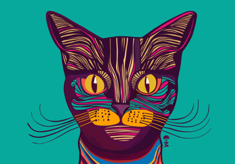 Gato