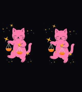 Zodíaco Felino - Libra