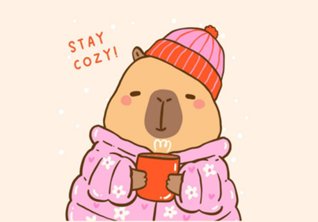 Cozy Capy