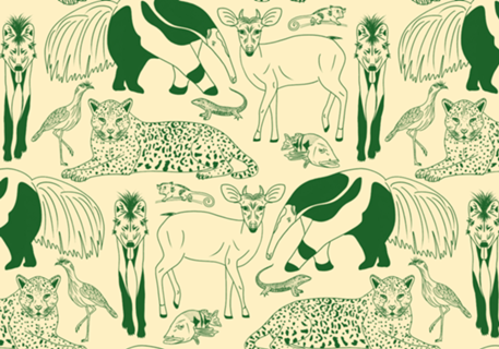 Animais do Cerrado