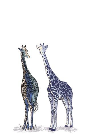 Girafas