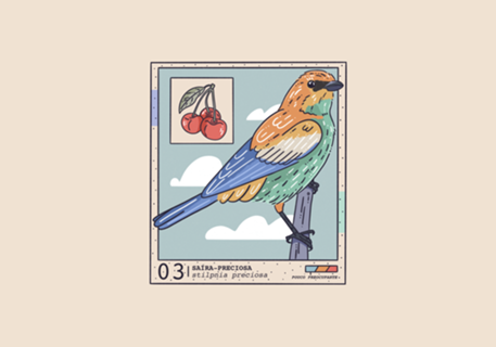 Saíra-Preciosa