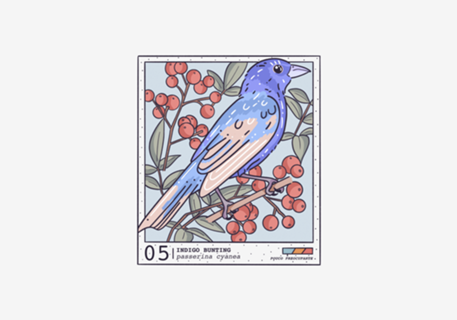 Indigo Bunting