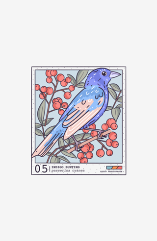Indigo Bunting
